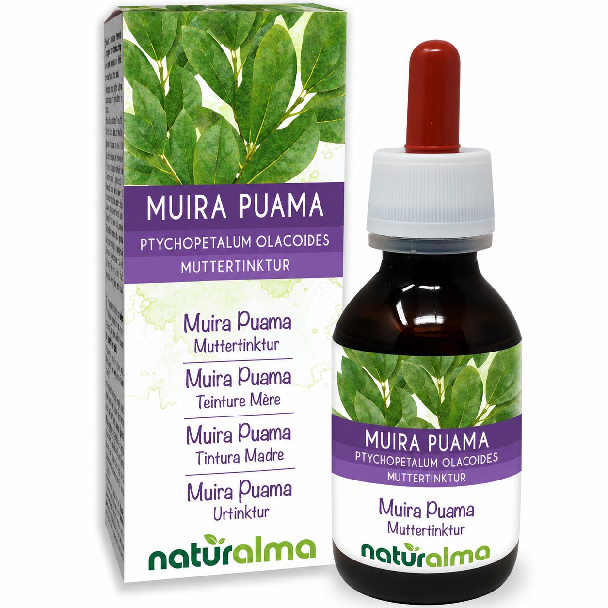 Flasche mit 50 ml Muira Puama Urtinktur von Naturalma.