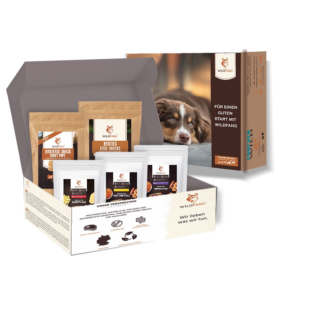 Geschenkbox mit Hundesnacks. Enthält mehrere Beutel mit Snacks und eine Box mit einem Hundefoto. Wildfang Logo.