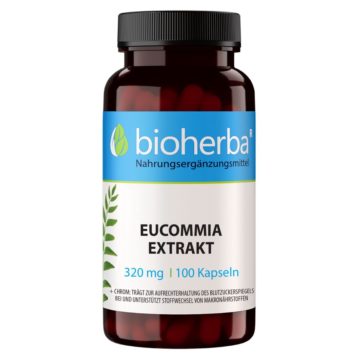 Braune Flasche mit schwarzen Deckel. Enthält Kapseln. Aufschrift: Bioherba, Eucommia Extrakt, 320 mg, 100 Kapseln. Produktetikett sichtbar.