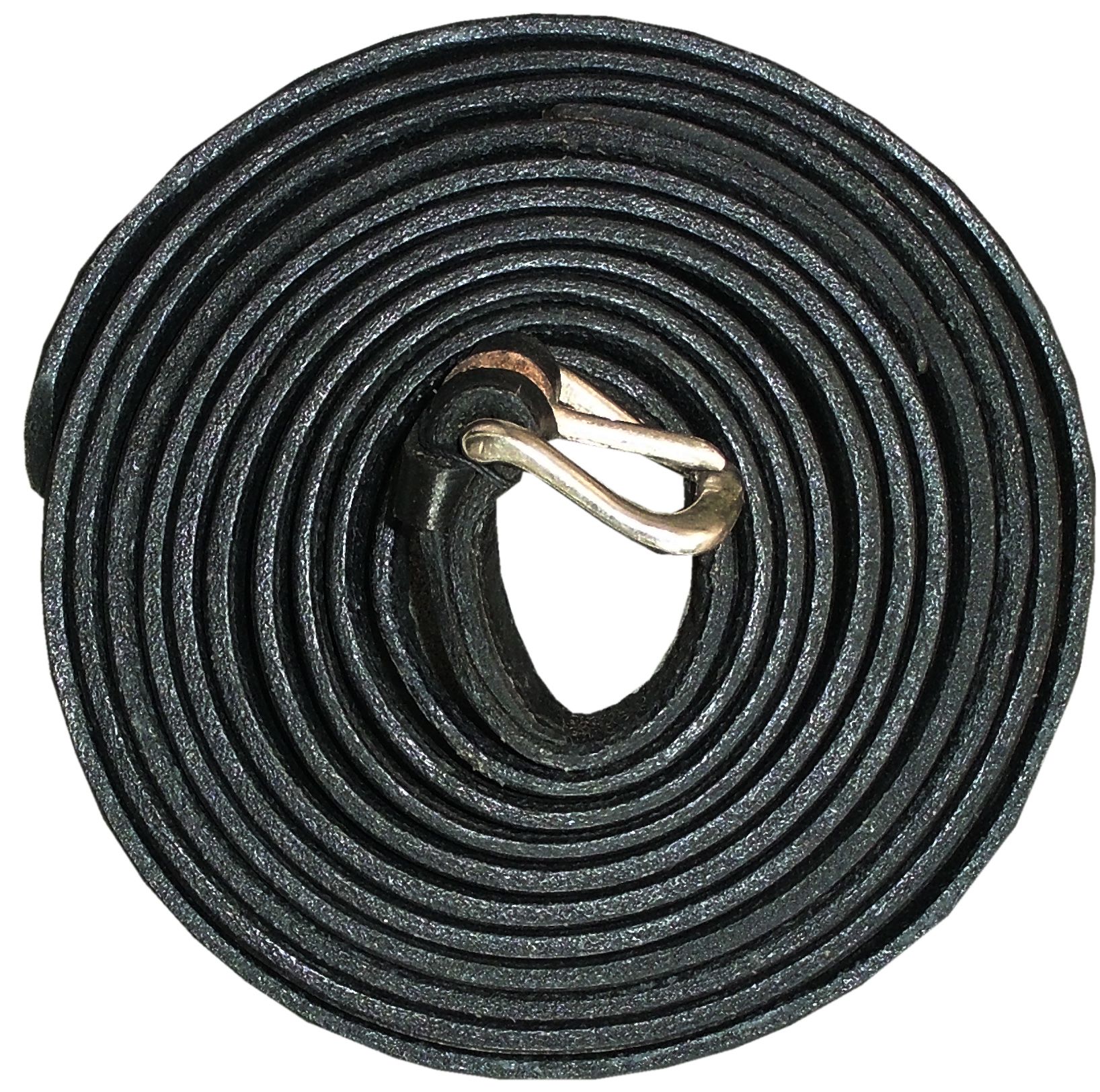 Pferdegespann mit Kutsche. Zwei Pferde ziehen Kutsche. Person am Steuer.