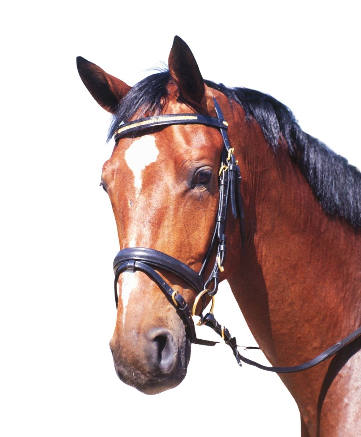 Nahaufnahme des AMKA Trensenzaum Heaven. Schwarzes Leder, silberfarbene Schnallen. Auf weißem Hintergrund.