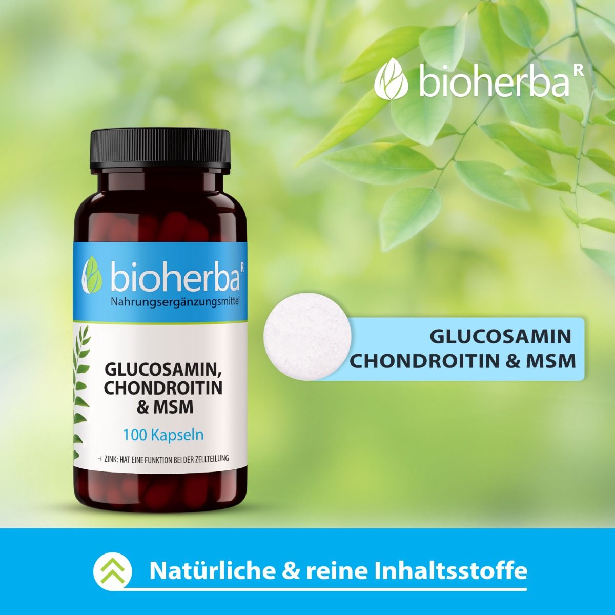 Braune Kapsel-Dose mit schwarzem Deckel. Aufschrift: Bioherba, Glucosamin, Chondroitin & MSM, 100 Kapseln. Grün-blaues Etikett. Hintergrund: Blätter.