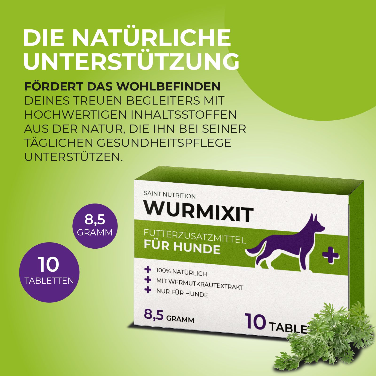 Produktverpackung mit Wurm Tabletten. Aufschrift: Wurmixit, Futterzusatzmittel für Hunde, 10 Tabletten, 8,5 Gramm. Grün-weiße Verpackung.