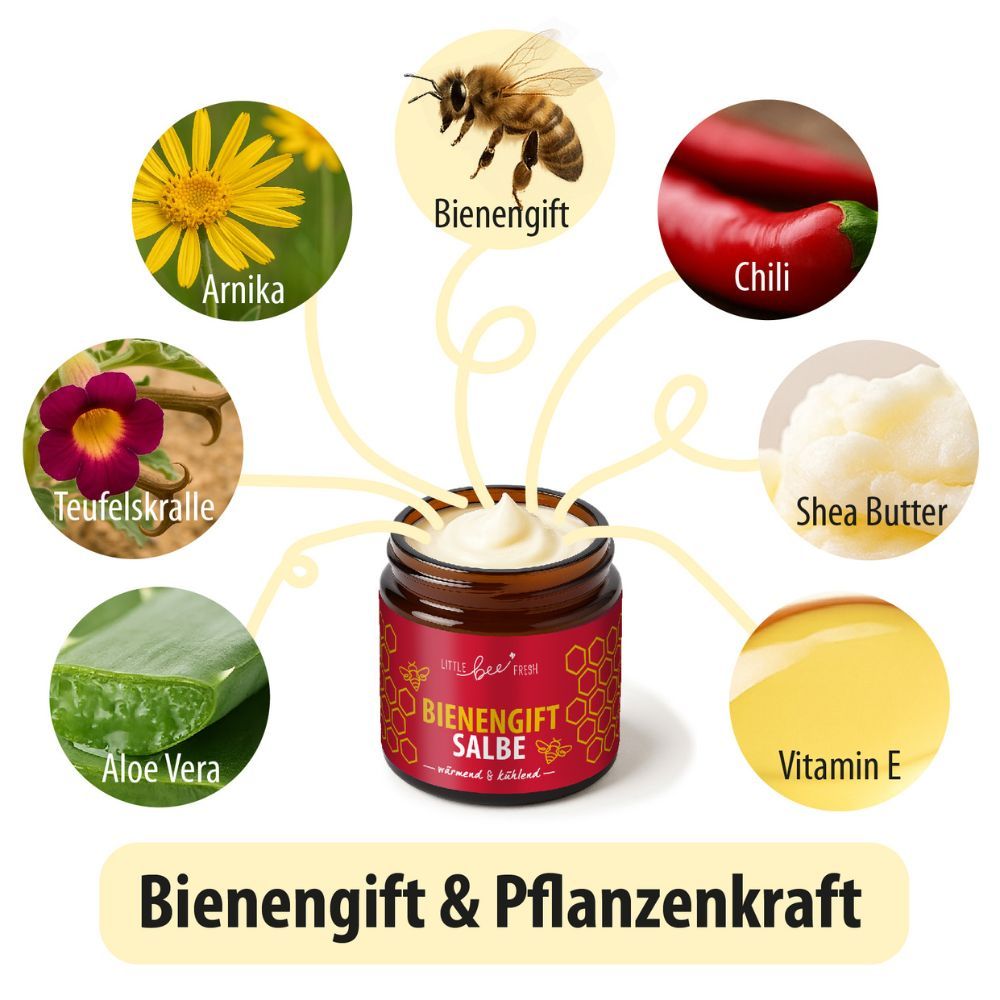 Glas mit Creme, umgeben von Zutaten: Arnika, Chili, Teufelskralle, Aloe Vera, Shea Butter, Vitamin E, Biene.