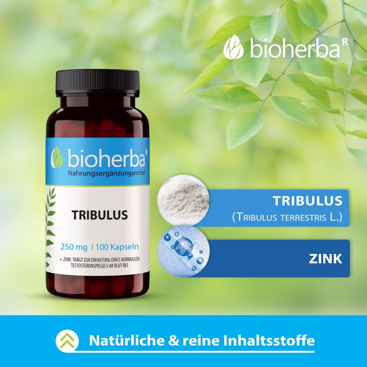 Braune Flasche mit schwarzen Deckel. Aufschrift: Bioherba, Tribulus, 250 mg | 100 Kapseln. Grafiken: Tribulus, Zink.