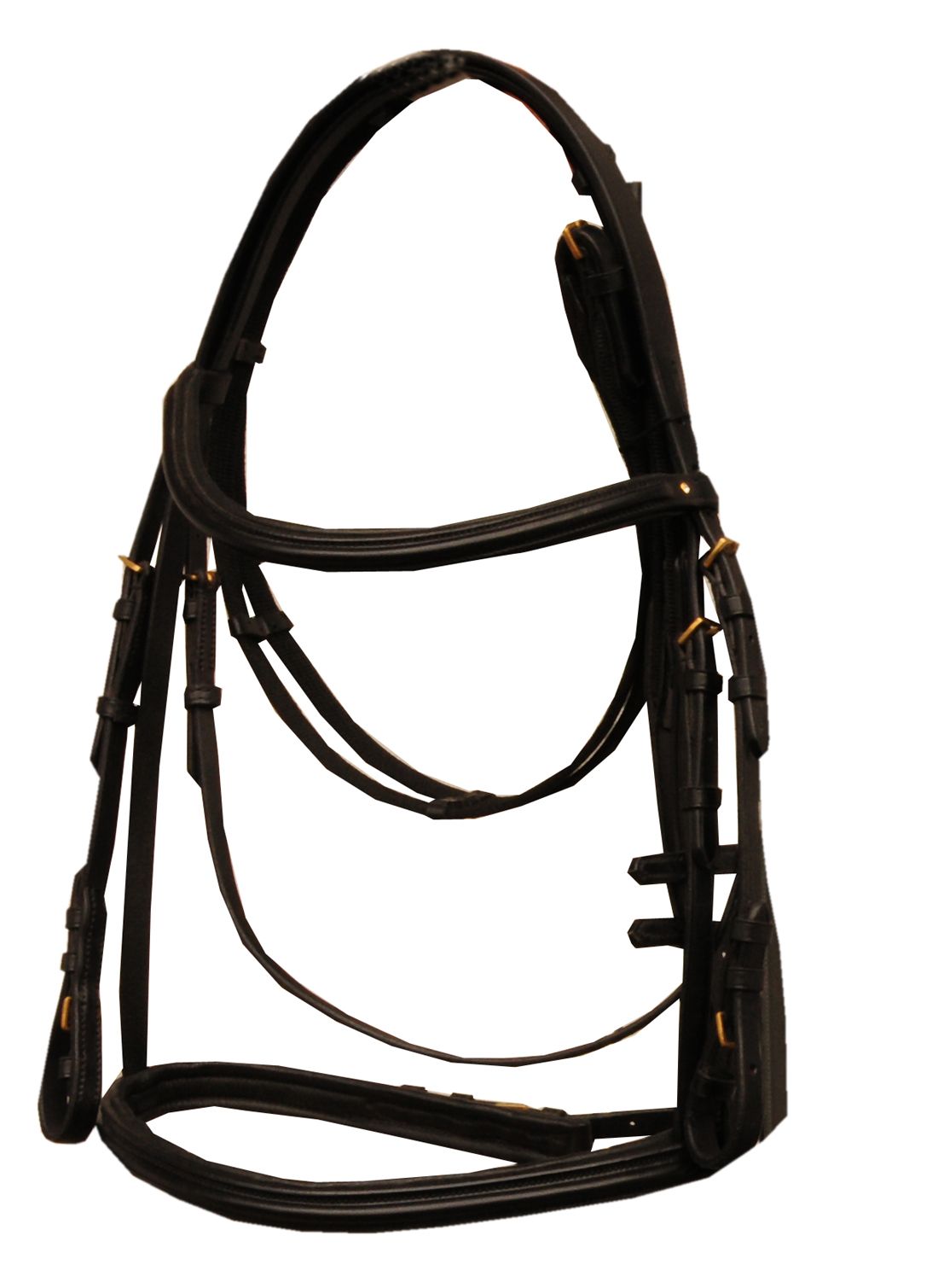 Schwarzer Zaum mit goldenen Schnallen. Ansicht von vorne.