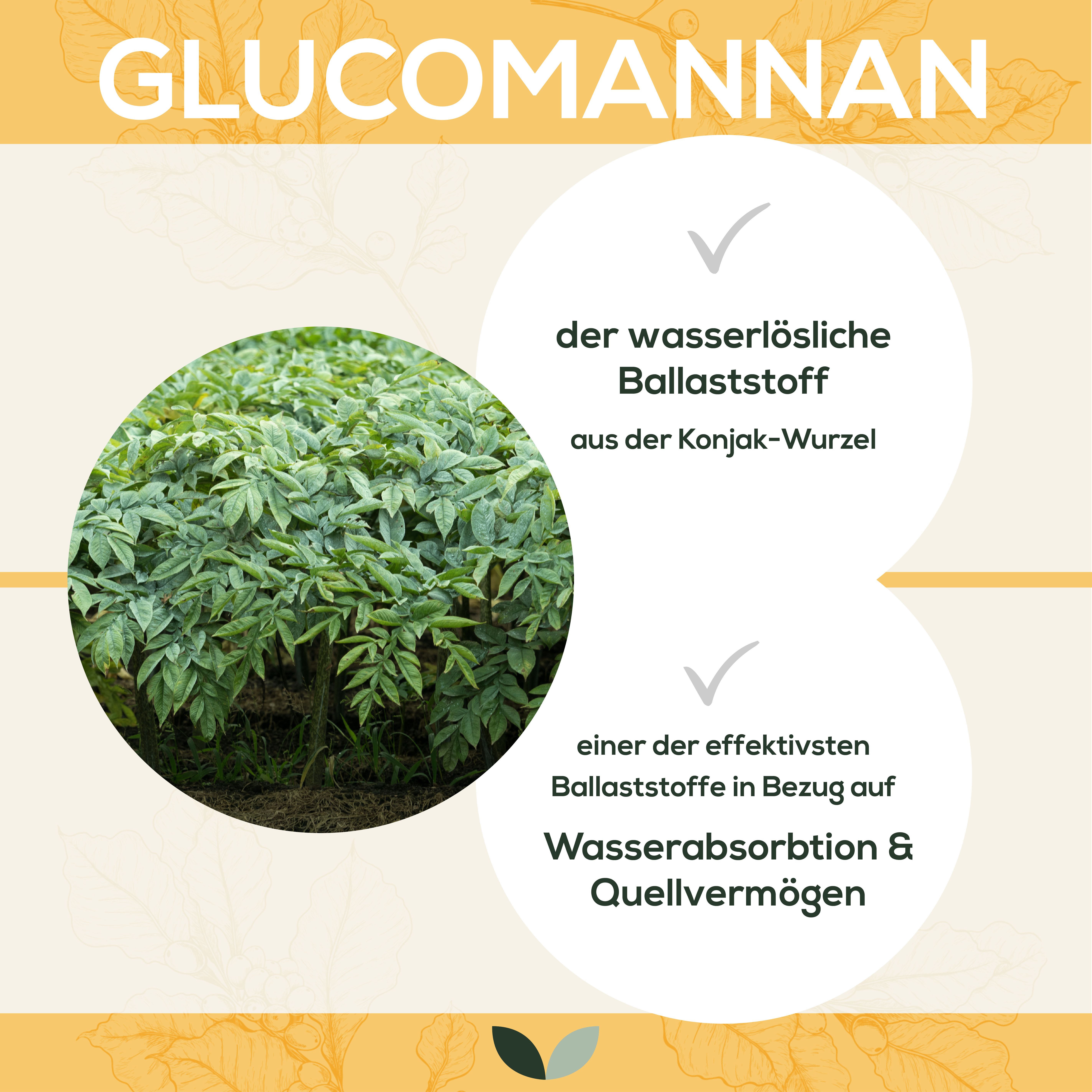 Sanutrition® - reines Konjak-Wurzel Glucomannan Pulver