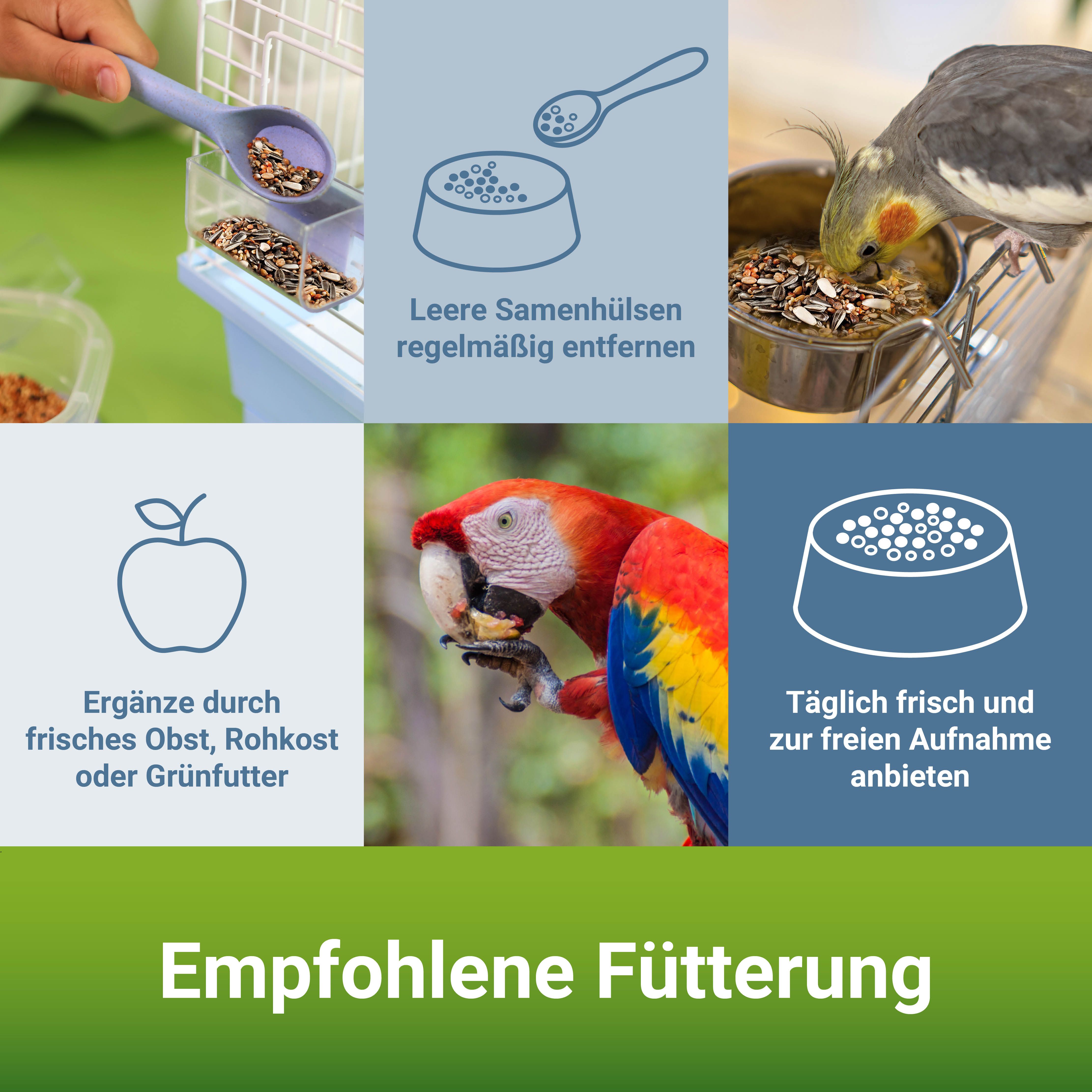 PANTO® Großsittichfutter Spezial mit Pluramin® (ohne Sonnenblumenkerne)
