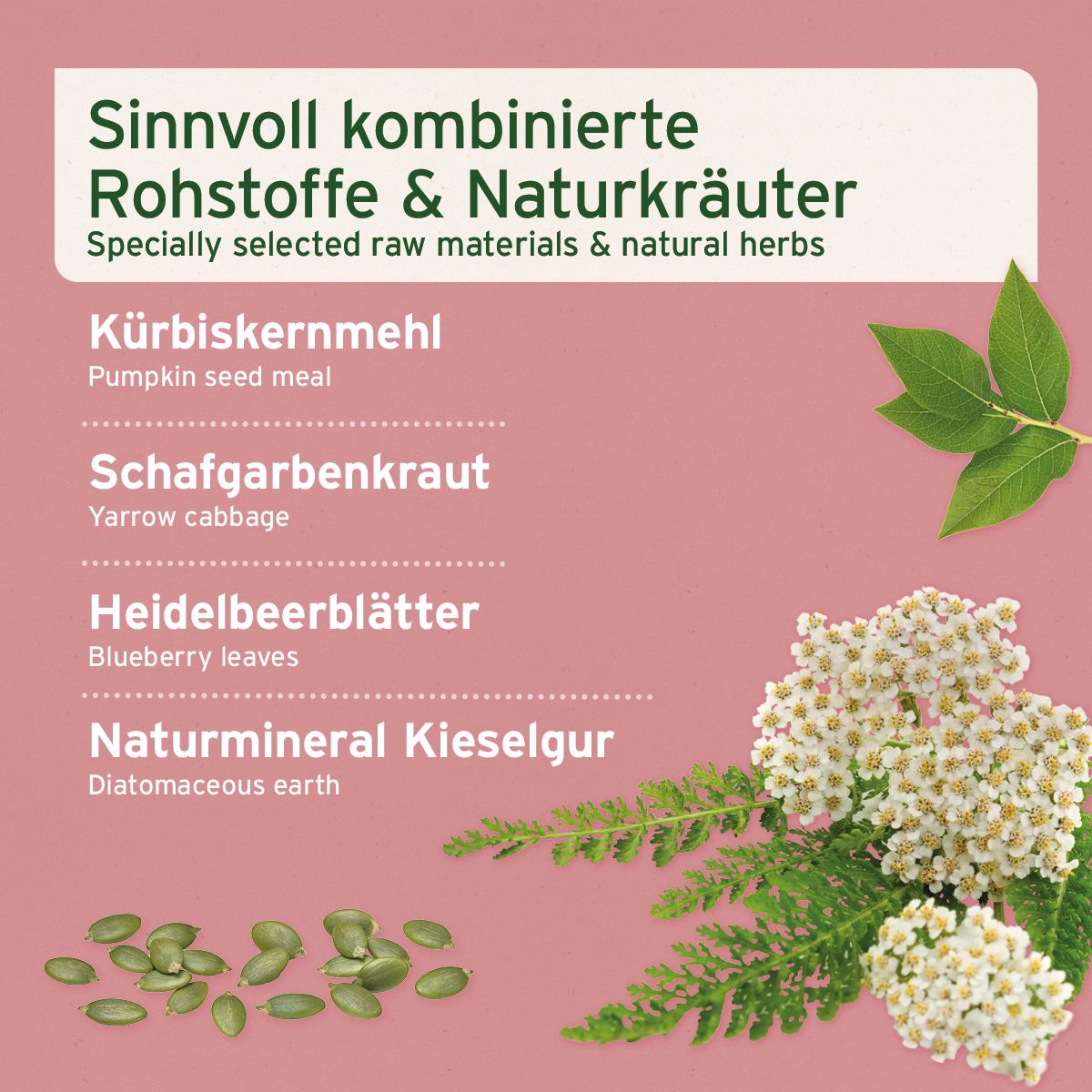 Verschiedene Zutaten. Text: Sinnvoll kombinierte Rohstoffe & Naturkräuter. Kürbiskernmehl, Schafgarbenkraut.