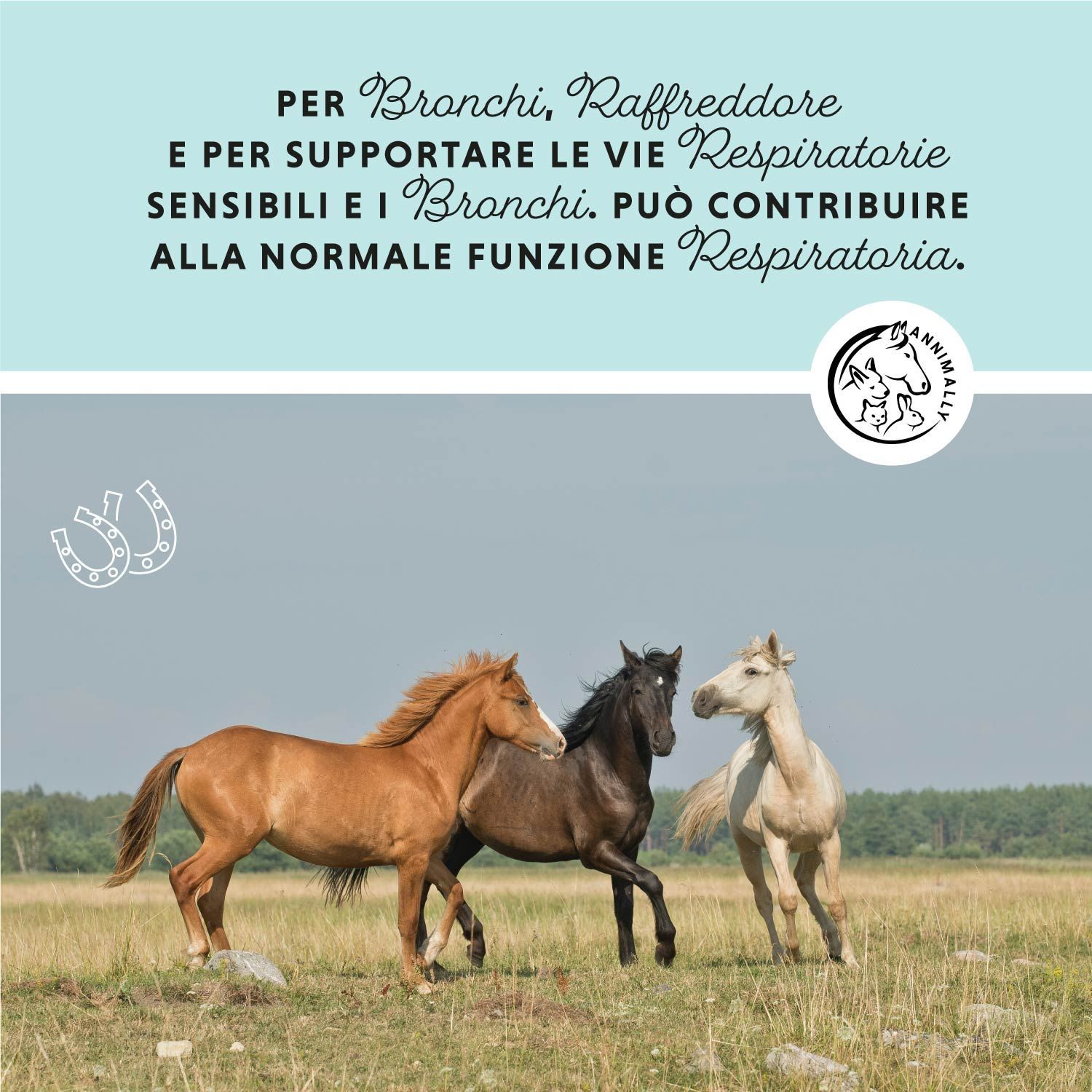 Drei Pferde auf einer Wiese. Text in italienischer Sprache über die Unterstützung der Atemwege. Logo mit Pferd und Kaninchen.