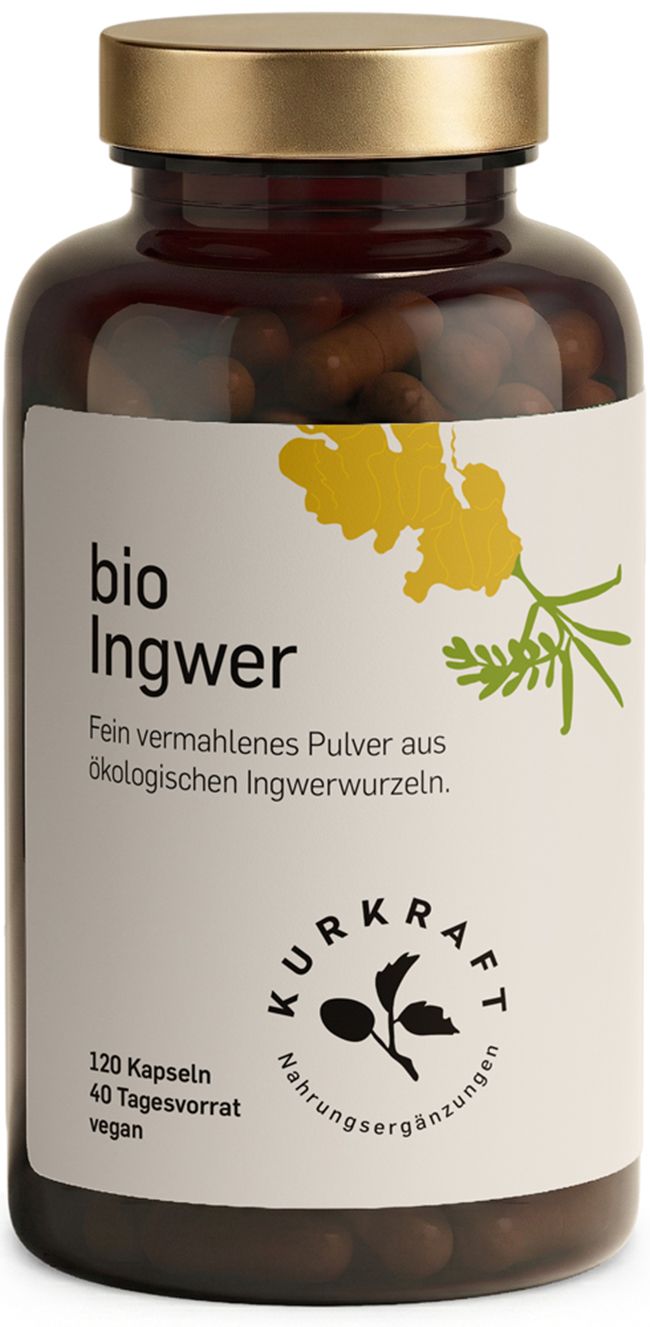 Braune Flasche mit goldfarbenem Deckel. Etikett: Bio Ingwer, 120 Kapseln, 40 Tagesvorrat. Logo Kurkraft. Text: Nahrungsergänzungsmittel.