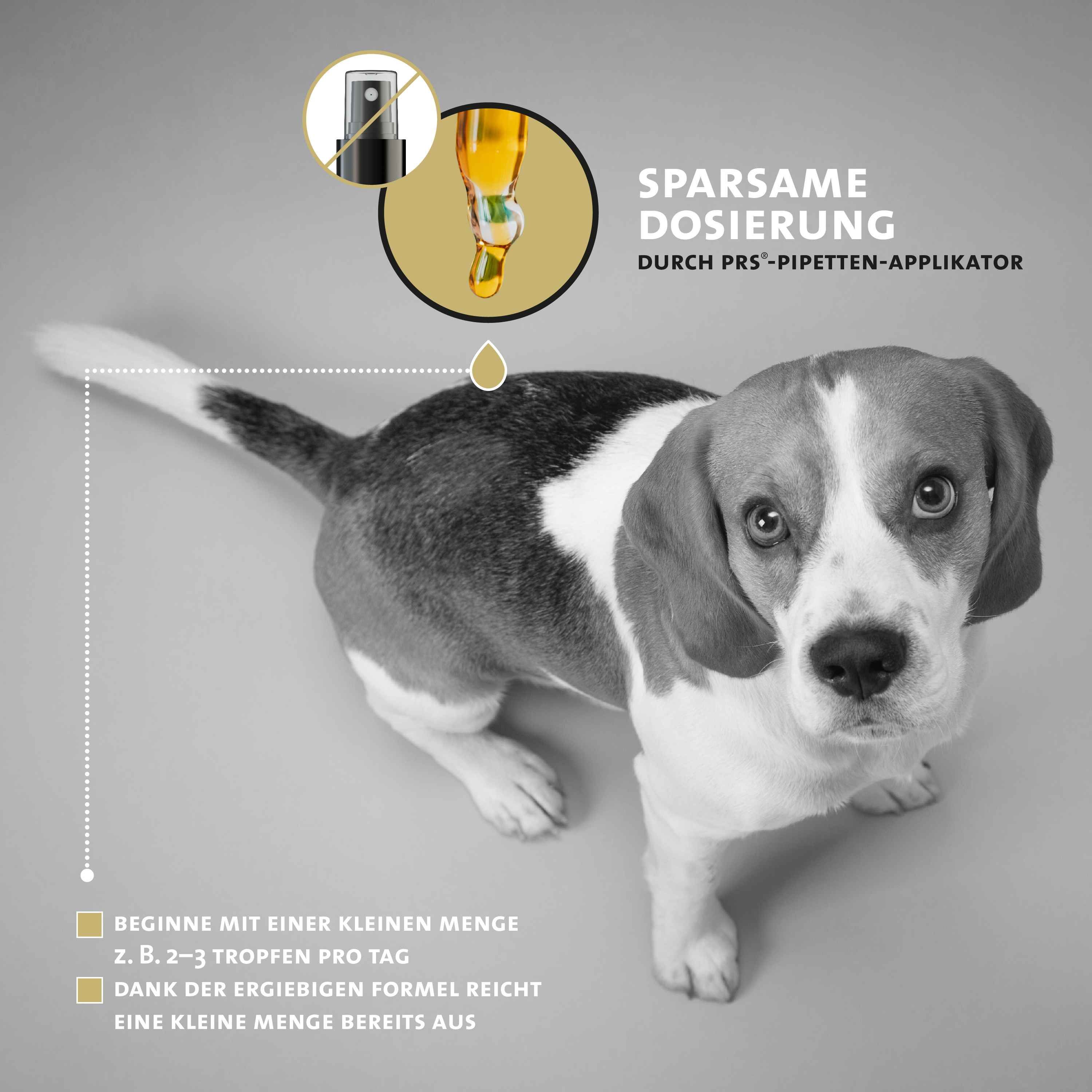 Hund mit Tropfen. Text: Sparsame Dosierung durch PRS-Pipetten-Applikator. Beginne mit einer kleinen Menge. 2-3 Tropfen pro Tag.