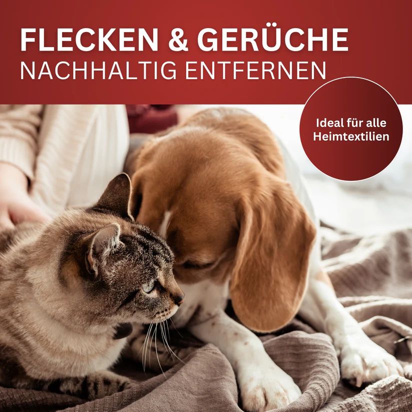 Katze und Hund auf Decke. Text: Flecken & Gerüche nachhaltig entfernen. Ideal für alle Heimtextilien.