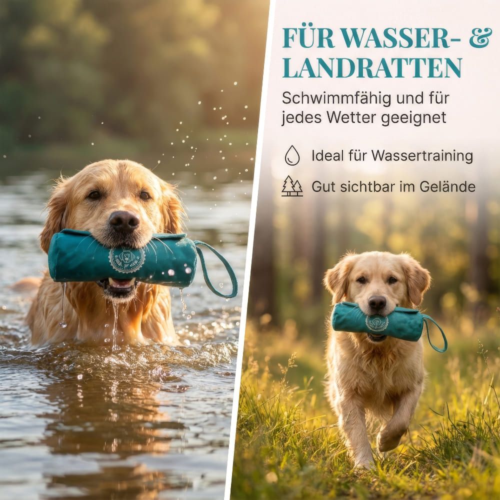 Hunde im Wasser und auf Wiese mit Futterbeutel. Text: Ideal für Wassertraining. Gut sichtbar im Gelände.