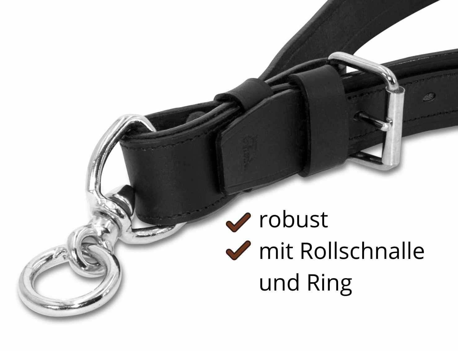 Nahaufnahme eines schwarzen Leder-Halsriemens mit Metallringen und Rollschließe.