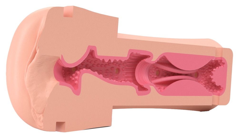 Rosa-farbene, anatomisch geformte Öffnung mit inneren Strukturen. Querschnitt.