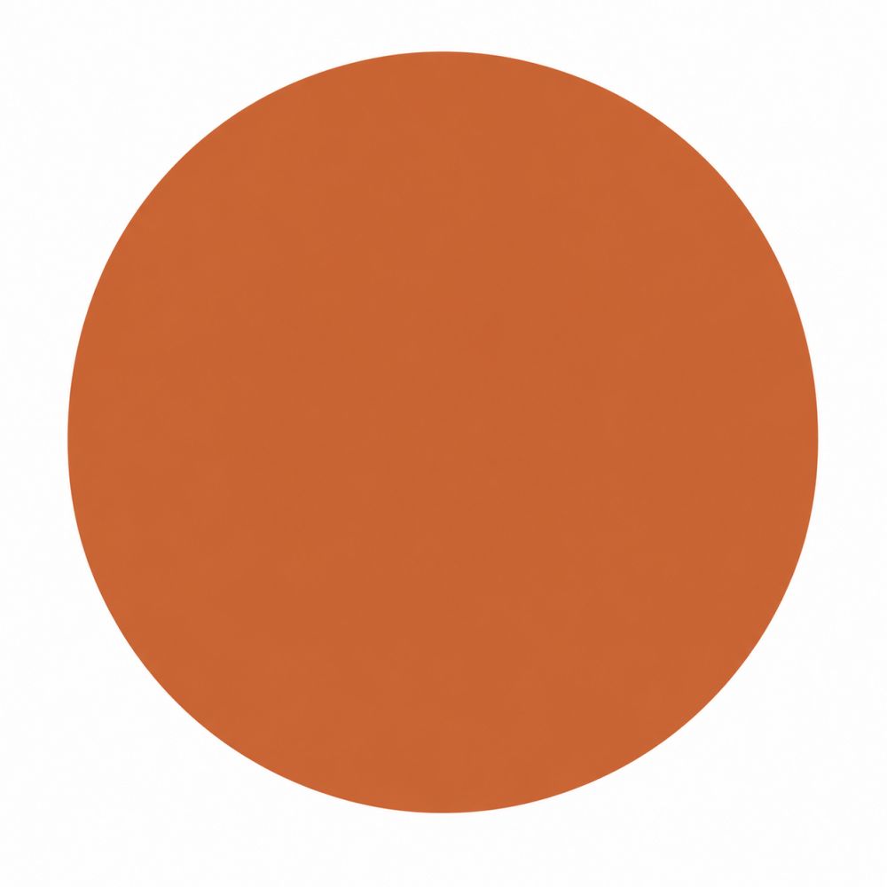 Ein runder, flacher, orangerfarbener Kreis auf weißem Hintergrund.