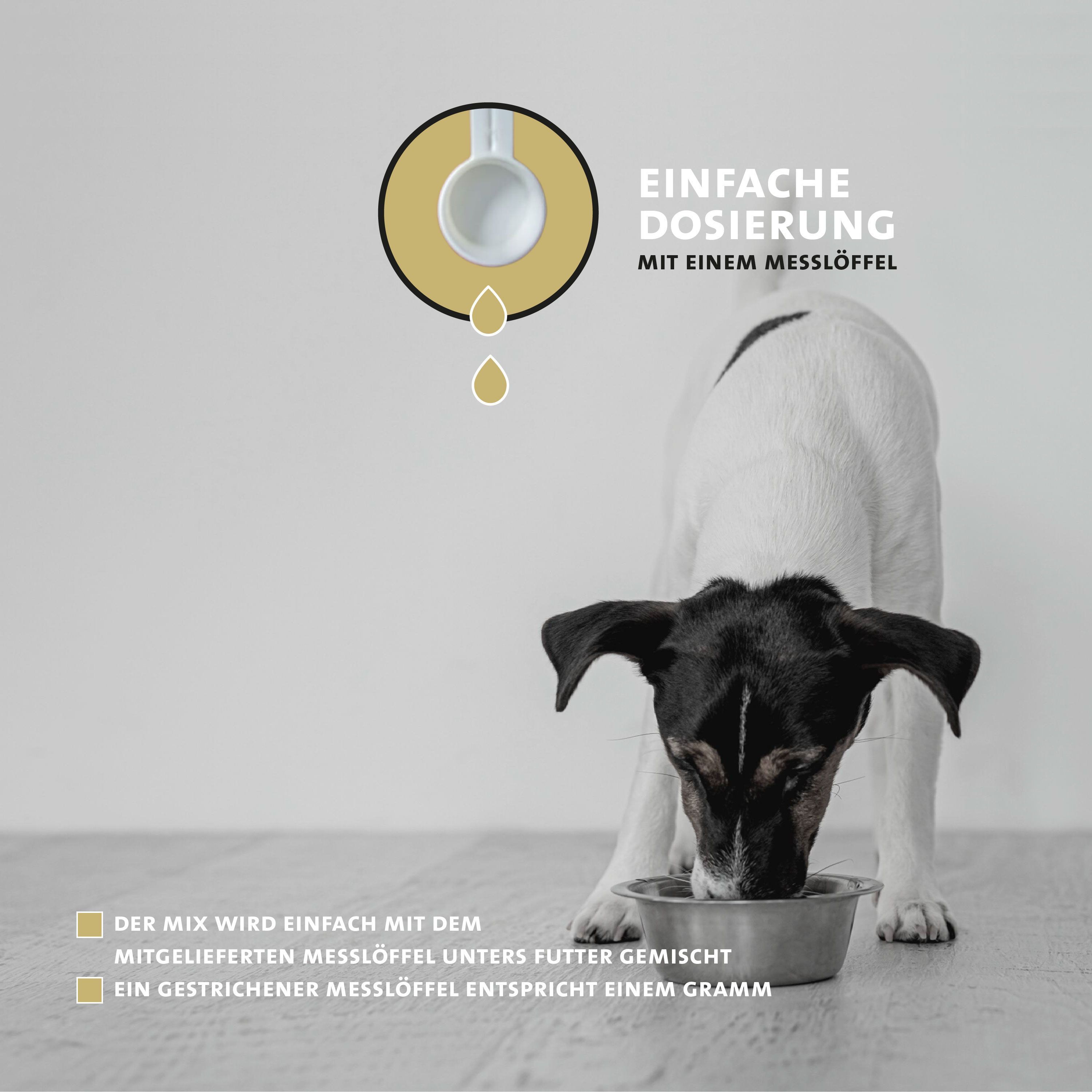 Hund frisst aus Futternapf. Messlöffel mit Pulver. Text: Einfache Dosierung mit einem Messlöffel. Ein gestrichener Messlöffel entspricht einem Gramm.