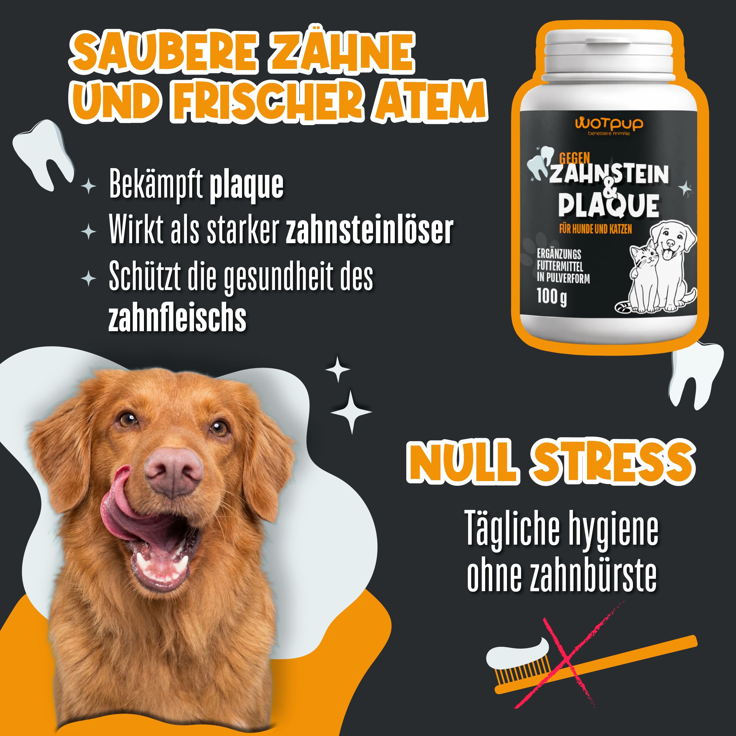 LAGA PHARMA Dental Bright Zahnpflege Hund & Katze Zahnsteinentferner Pulver mit Minze, Salbei, Inuli