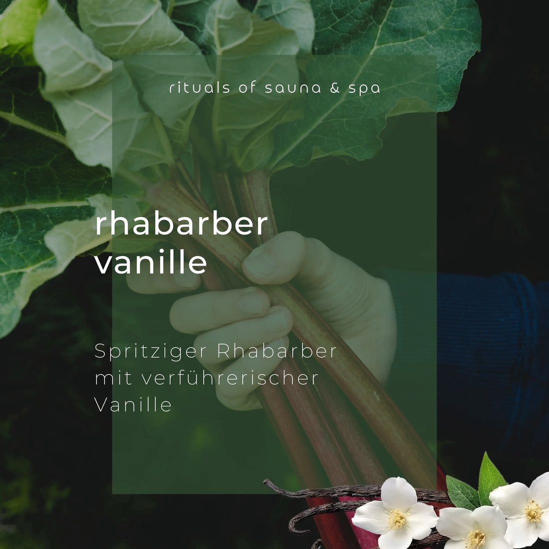 Hand hält Rhabarberstiele. Text: Rhabarber Vanille, Spritziger Rhabarber mit verführerischer Vanille. Hintergrund: grüne Blätter und Blüten.