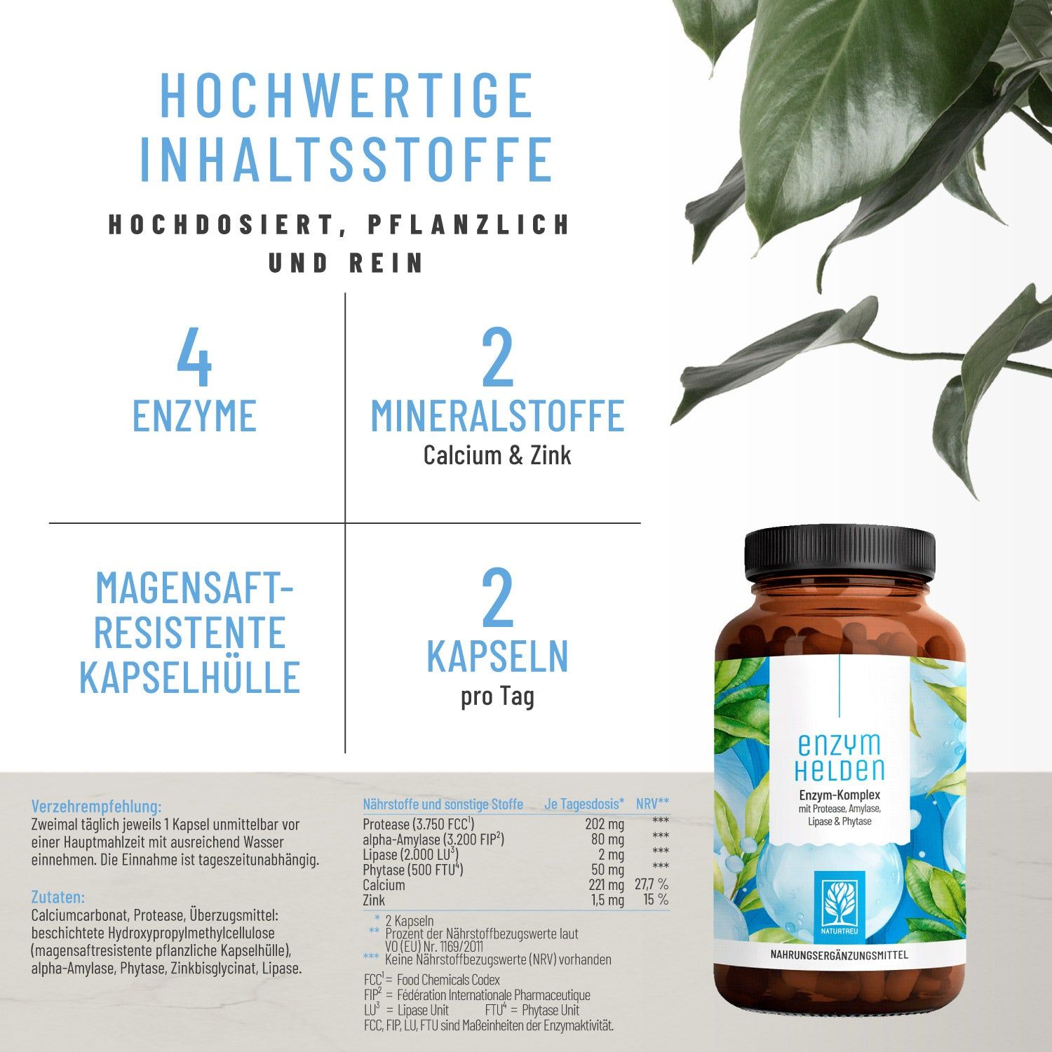 Infografik mit Inhaltsstoffen: 4 Enzyme, 2 Mineralstoffe (Calcium & Zink). Flasche ENZYMHELDEN. Text: 2 Kapseln pro Tag. Hochwertige Inhaltsstoffe.
