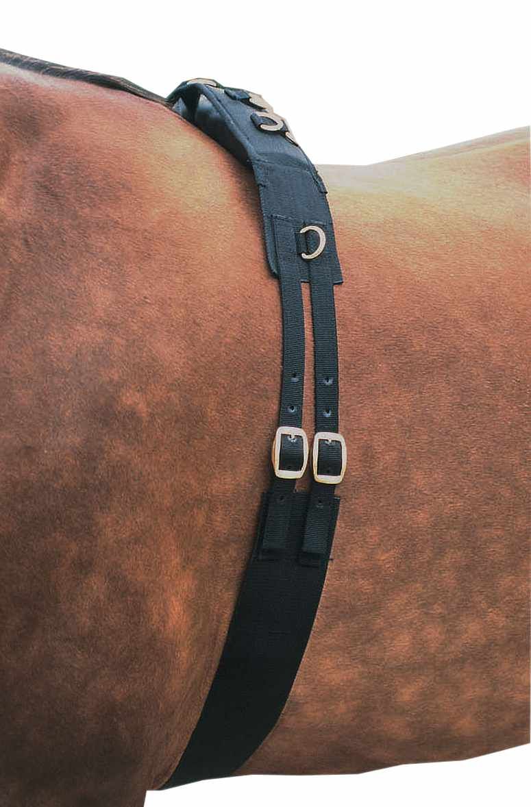 Schwarzer Longiergurt aus Nylon mit Schnallen und Ringen, am Pferd befestigt.