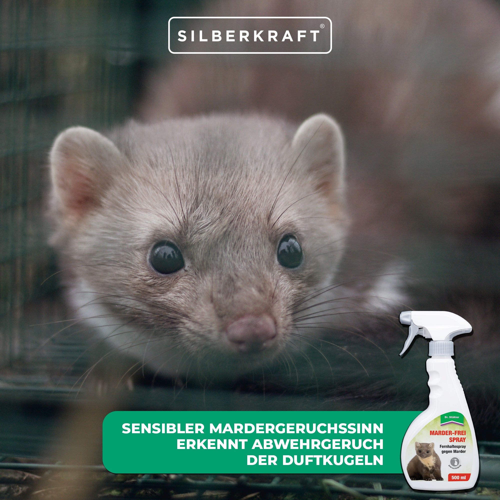 SILBERKRAFT Marder-Frei Spray
