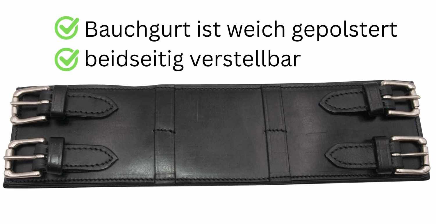 Schwarzer Longiergurt mit Schnallen. Text: Bauchgurt ist weich gepolstert, beidseitig verstellbar.