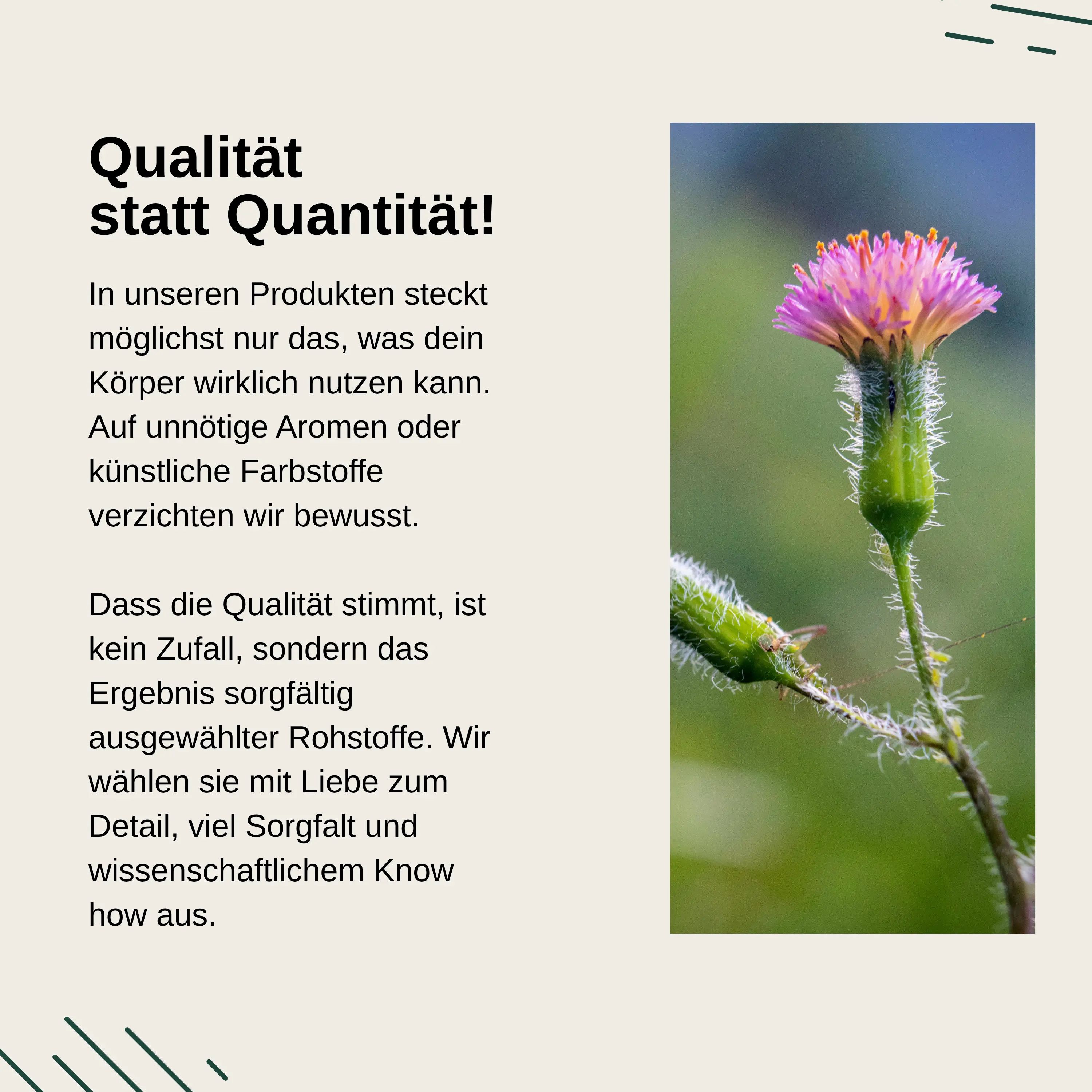 Blume auf einem Stiel im Fokus. Text: Qualität statt Quantität bei Vita Elements Produkten.