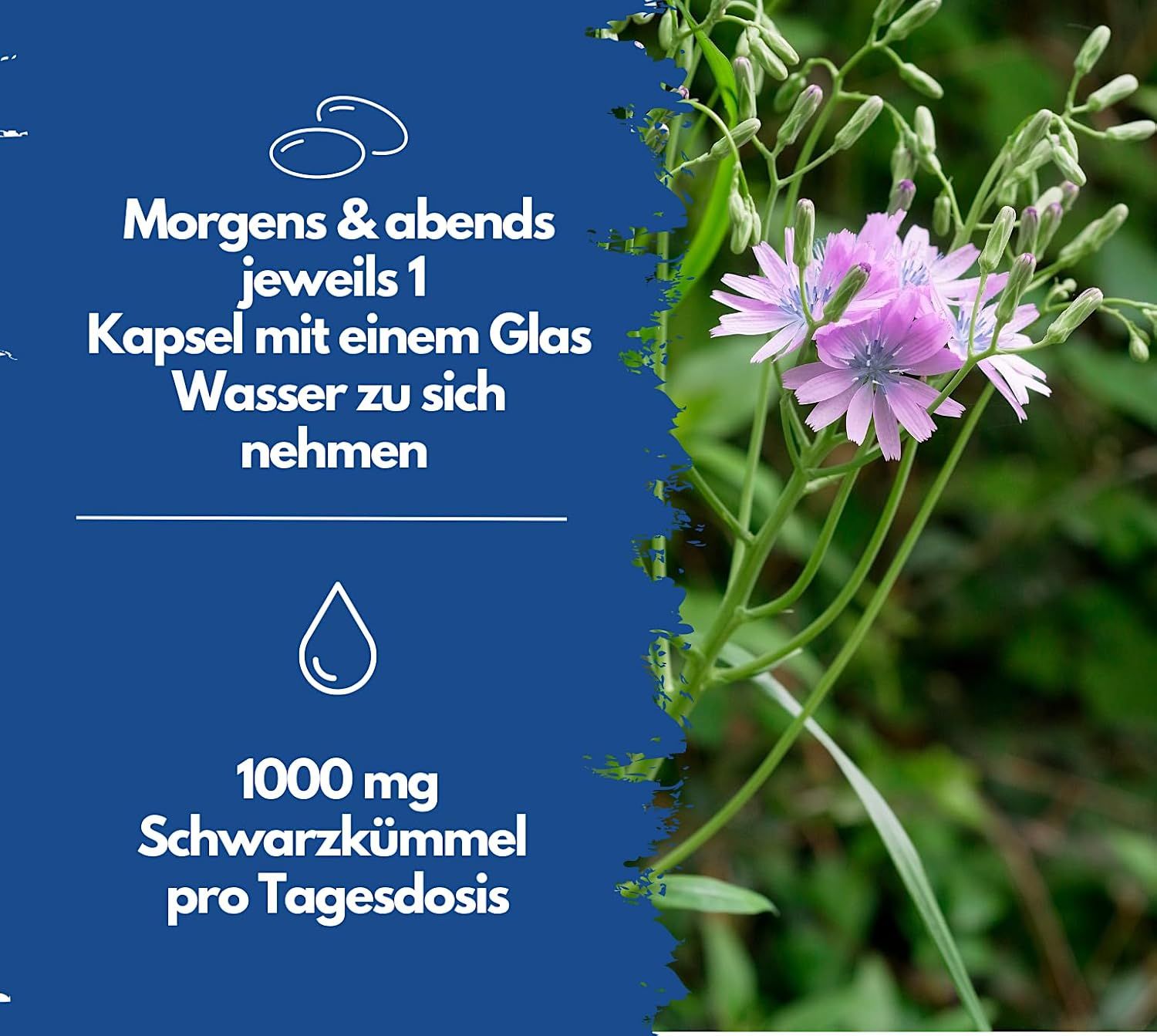 Text auf blauem Hintergrund: Einnahme von 1 Kapsel morgens und abends mit Wasser. 1000 mg Schwarzkümmel pro Tagesdosis.