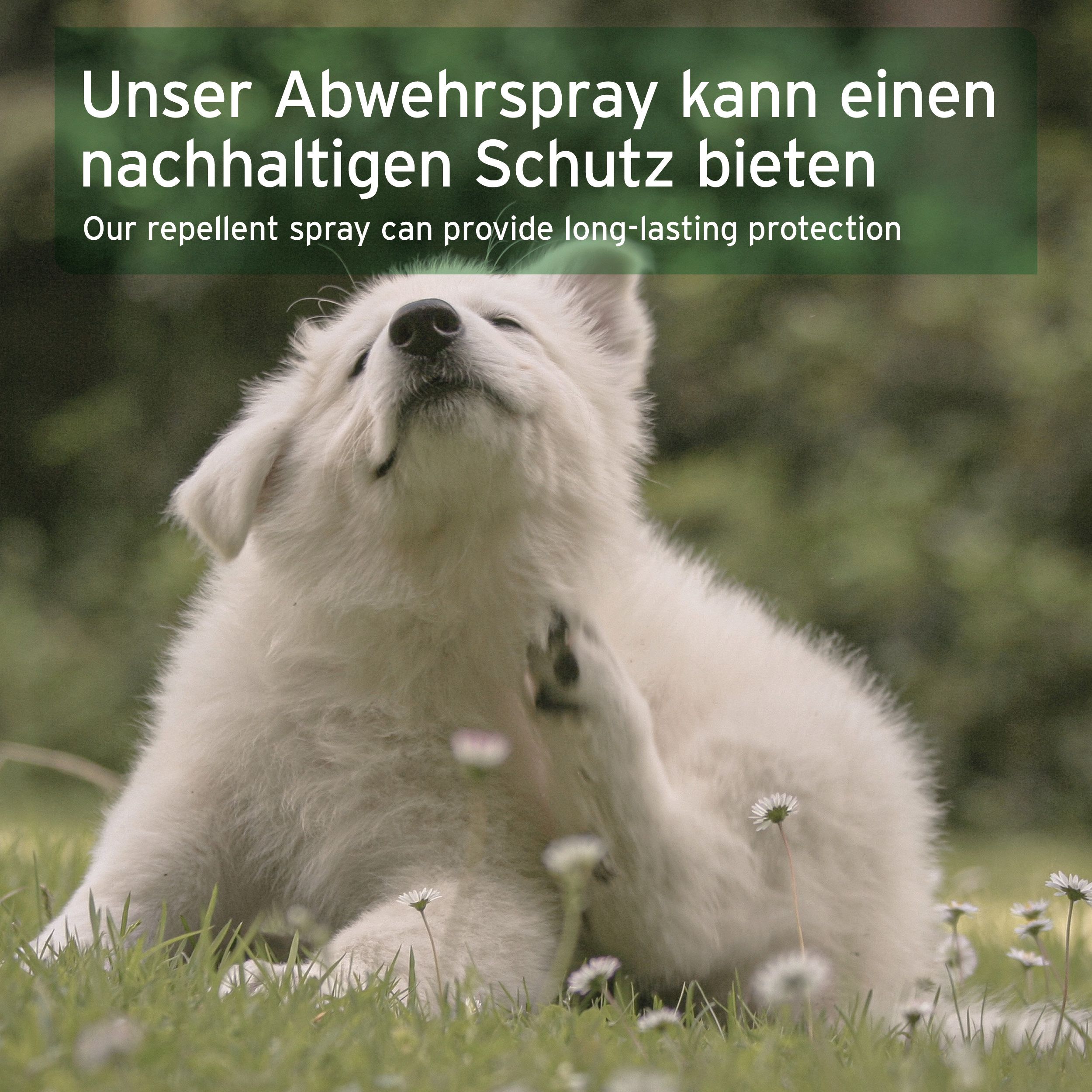 AniForte Grasmilben-EX Spray für Hunde