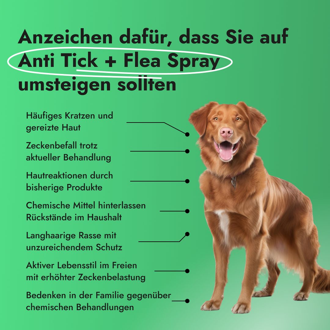Grafik mit Anzeichen, wann das Spray verwendet werden sollte. Text und Hundebild. Häufiges Kratzen, Zeckenbefall, Hautreaktionen, chemische Mittel.