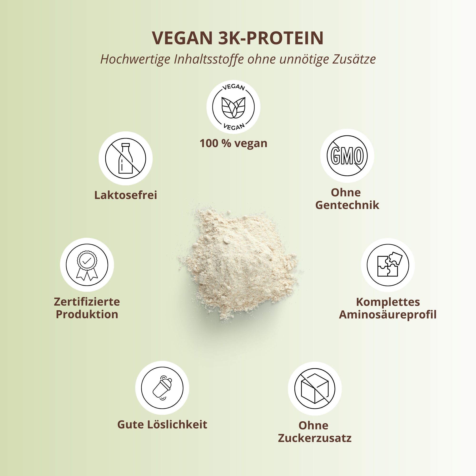 Protein-Pulver mit Symbolen: Vegan, 100% vegan, laktosefrei, ohne Gentechnik, zertifizierte Produktion, komplettes Aminosäureprofil, gute Löslichkeit, ohne Zuckerzusatz.