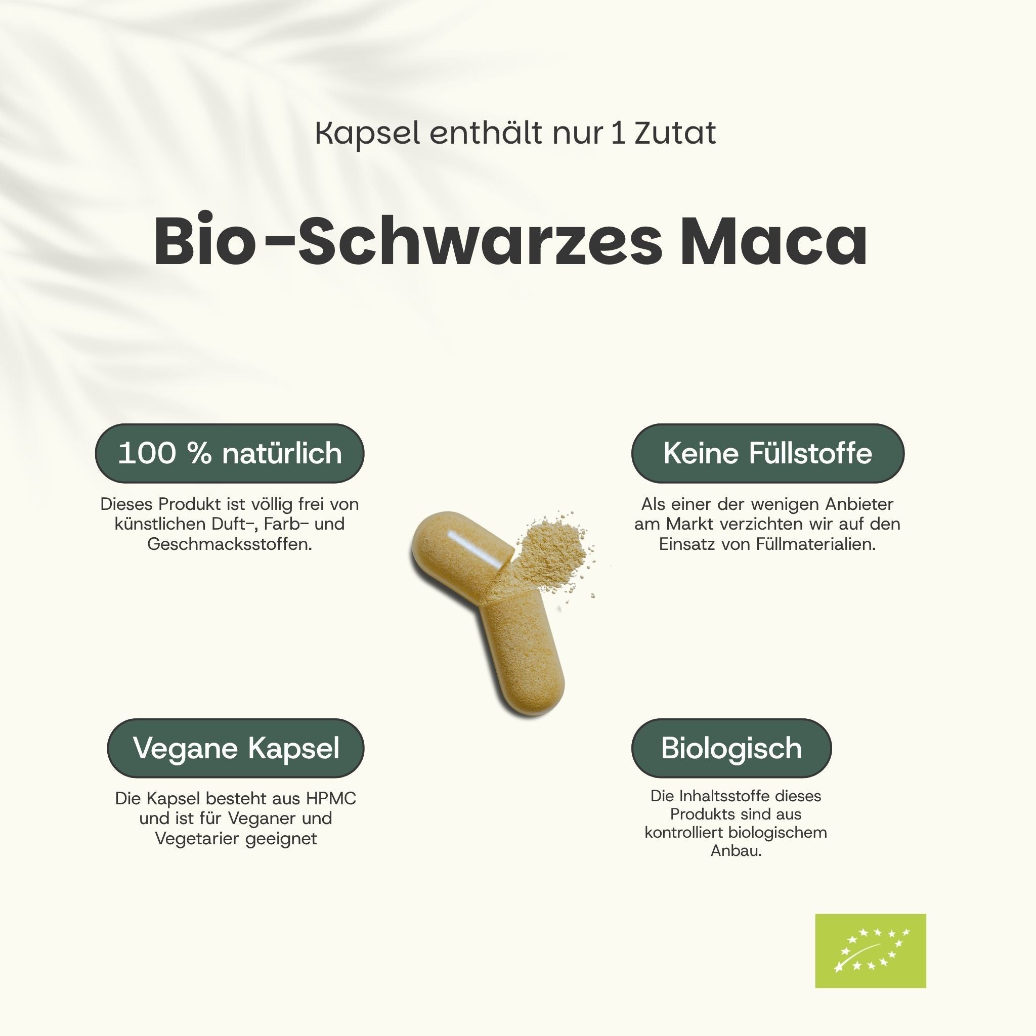 Grafik mit Text: Bio-Schwarzes Maca. 100% natürlich. Keine Füllstoffe. Vegane Kapsel. Biologisch.