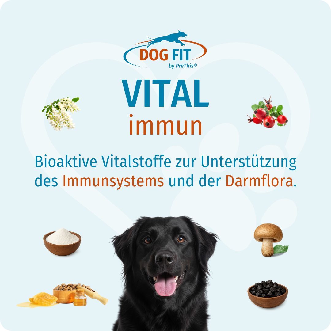 DOG FIT by PreThis® VITAL immun. Schwarzer Hund, Zutaten und Text. Bioaktive Vitalstoffe für Immunsystem und Darmflora.