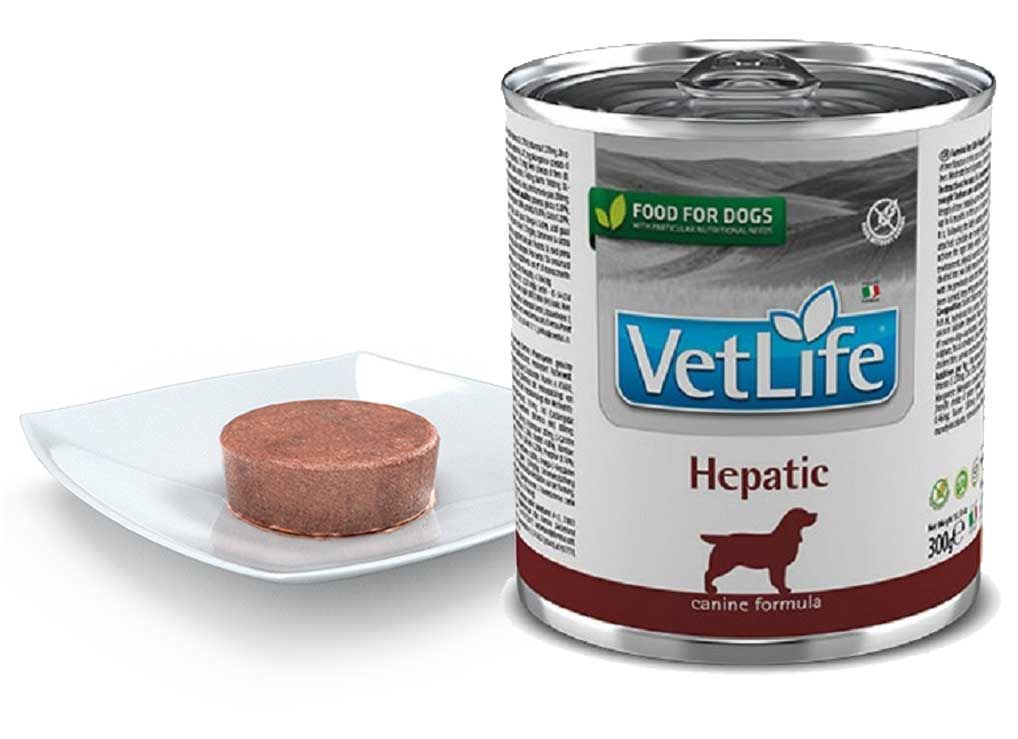 Nassfutter Hund Farmina VetLife - Hepatic