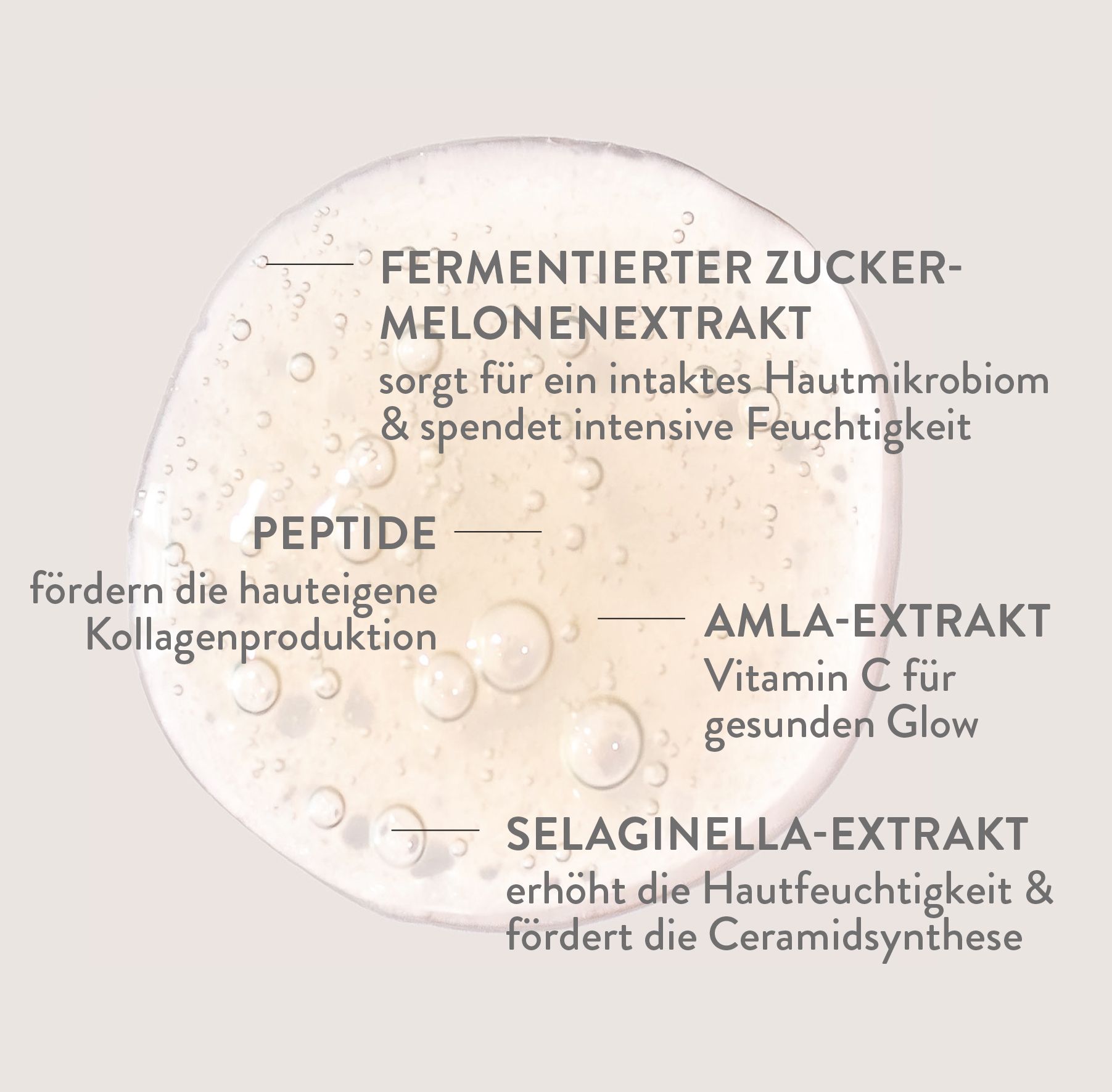 Nahaufnahme einer Flüssigkeit mit Text. Text: Fermentierter Zuckermelonenextrakt, Peptide, Amla-Extrakt, Selaginella-Extrakt.