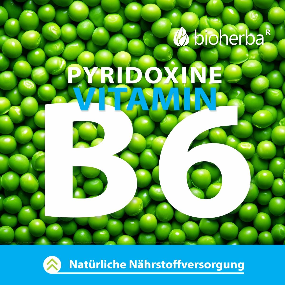 Hintergrund aus grünen Erbsen. Text: Pyridoxin Vitamin B6. Natürliche Nährstoffversorgung.