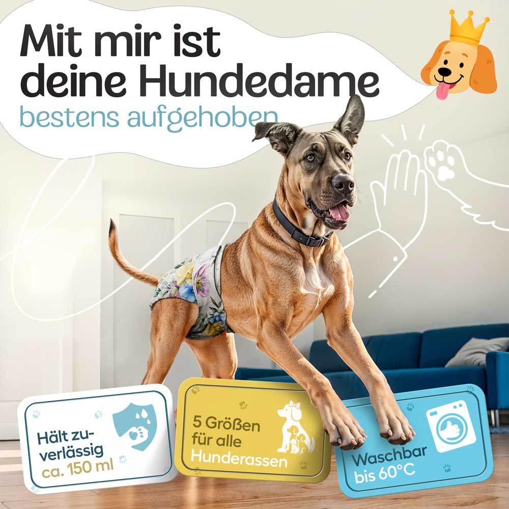 Hündin mit Windel. Text: Hält zuverlässig ca. 150 ml. 5 Größen für alle Hunderassen. Waschbar bis 60°C.
