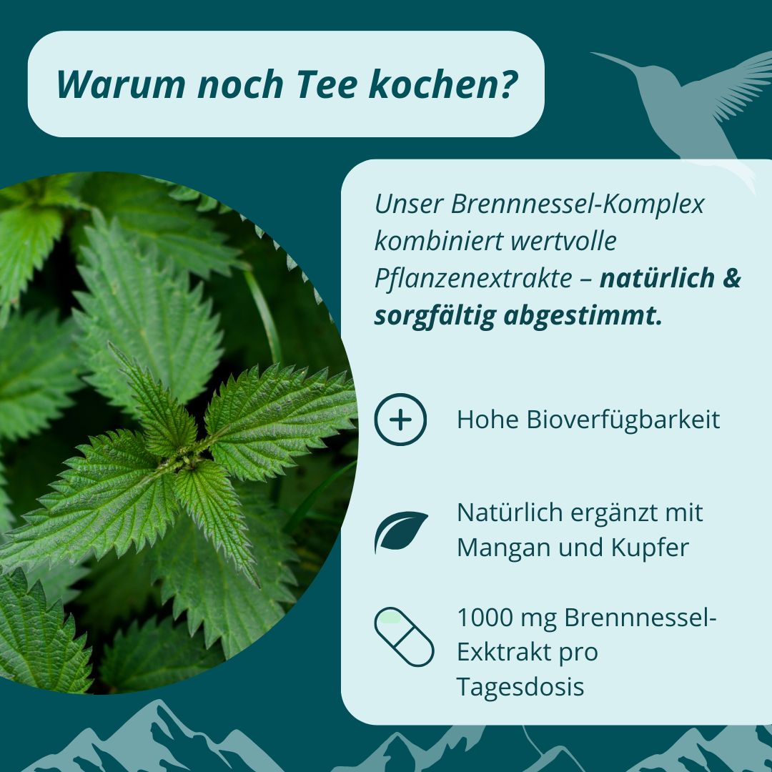 AVARIA CARE® Brennnessel Komplex – hochdosiert – vegan – mit Mangan & Kupfer