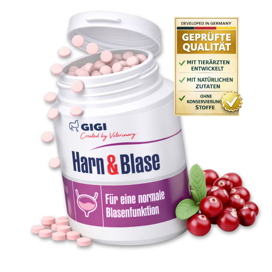 GIGI Vet Harn & Blase Tabletten in weißer Dose. Pinkfarbene Tabletten daneben. Cranberrys und Qualitätszeichen.