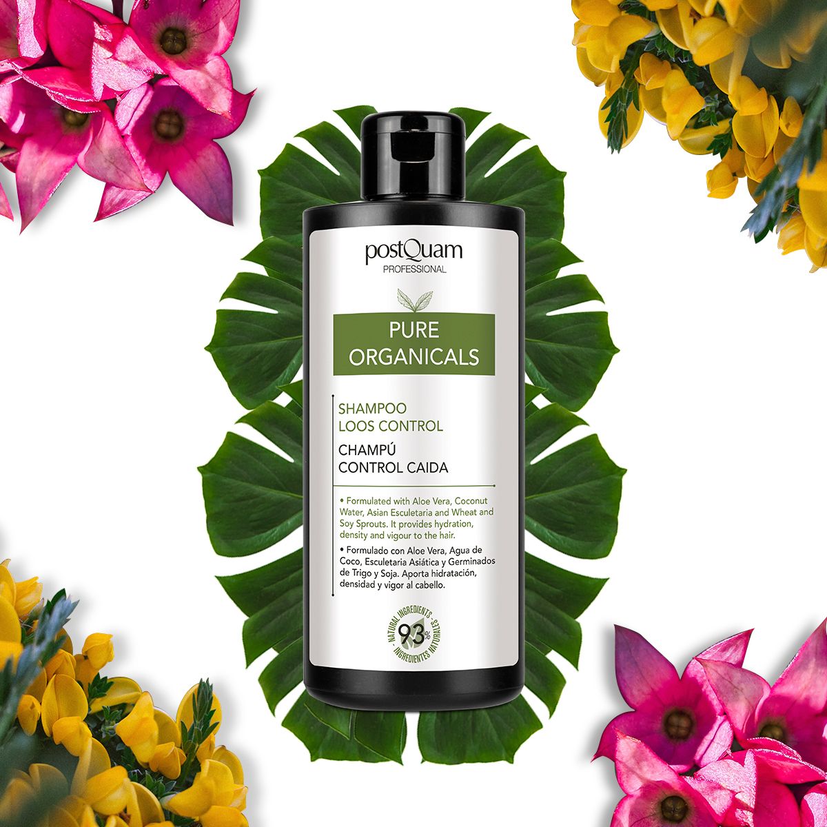Schwarze Flasche mit Shampoo. Aufschrift: Postquam, Pure Organicals, Shampoo Loos Control, Champú Control Caida. Mit Blättern und Blumen.