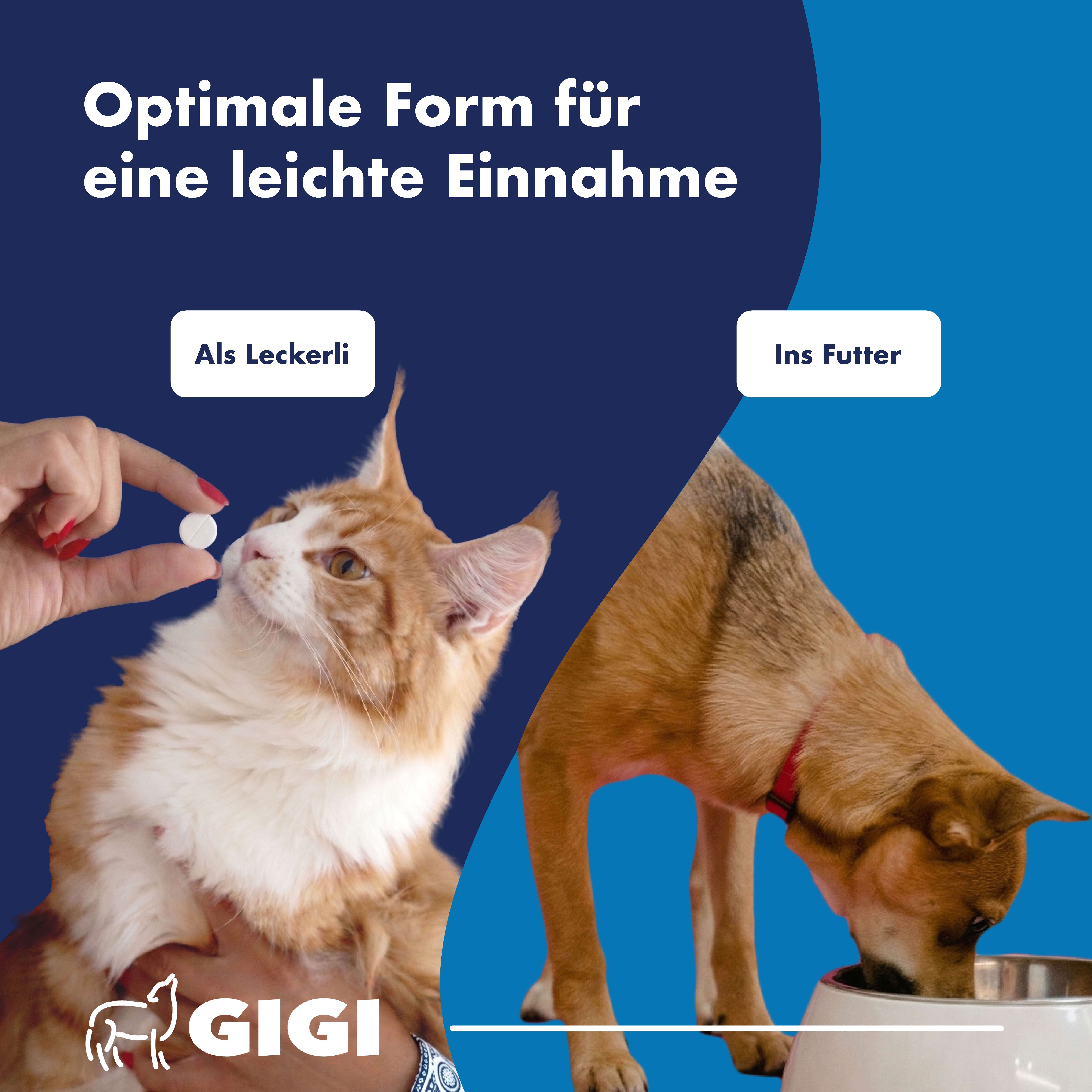 Optimale Form für leichte Einnahme: Als Leckerli oder ins Futter gemischt für Katze und Hund.