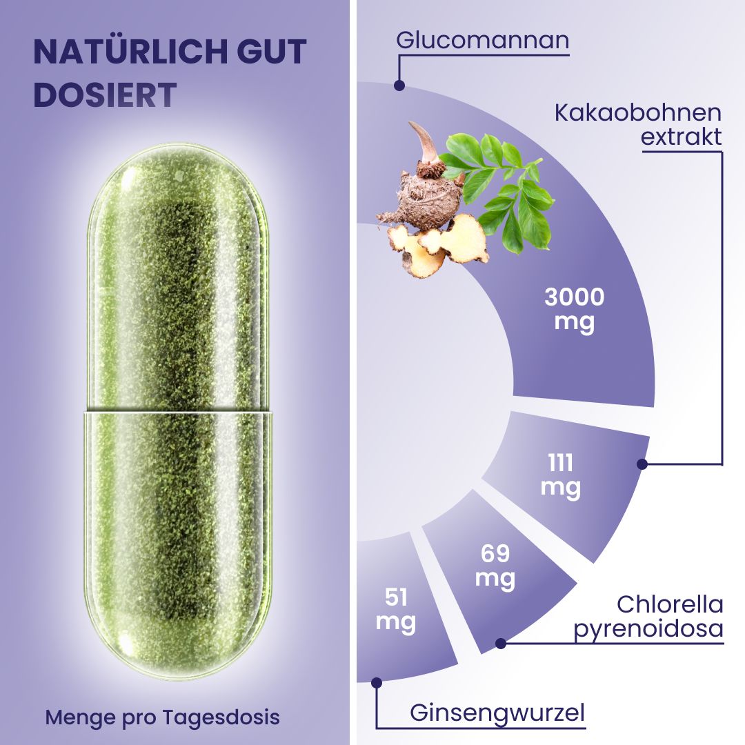 Kapsel neben Grafik. Grafik zeigt Inhaltsstoffe: Glucomannan, Kakaobohnenextrakt, Chlorella pyrenoidosa, Ginsengwurzel.