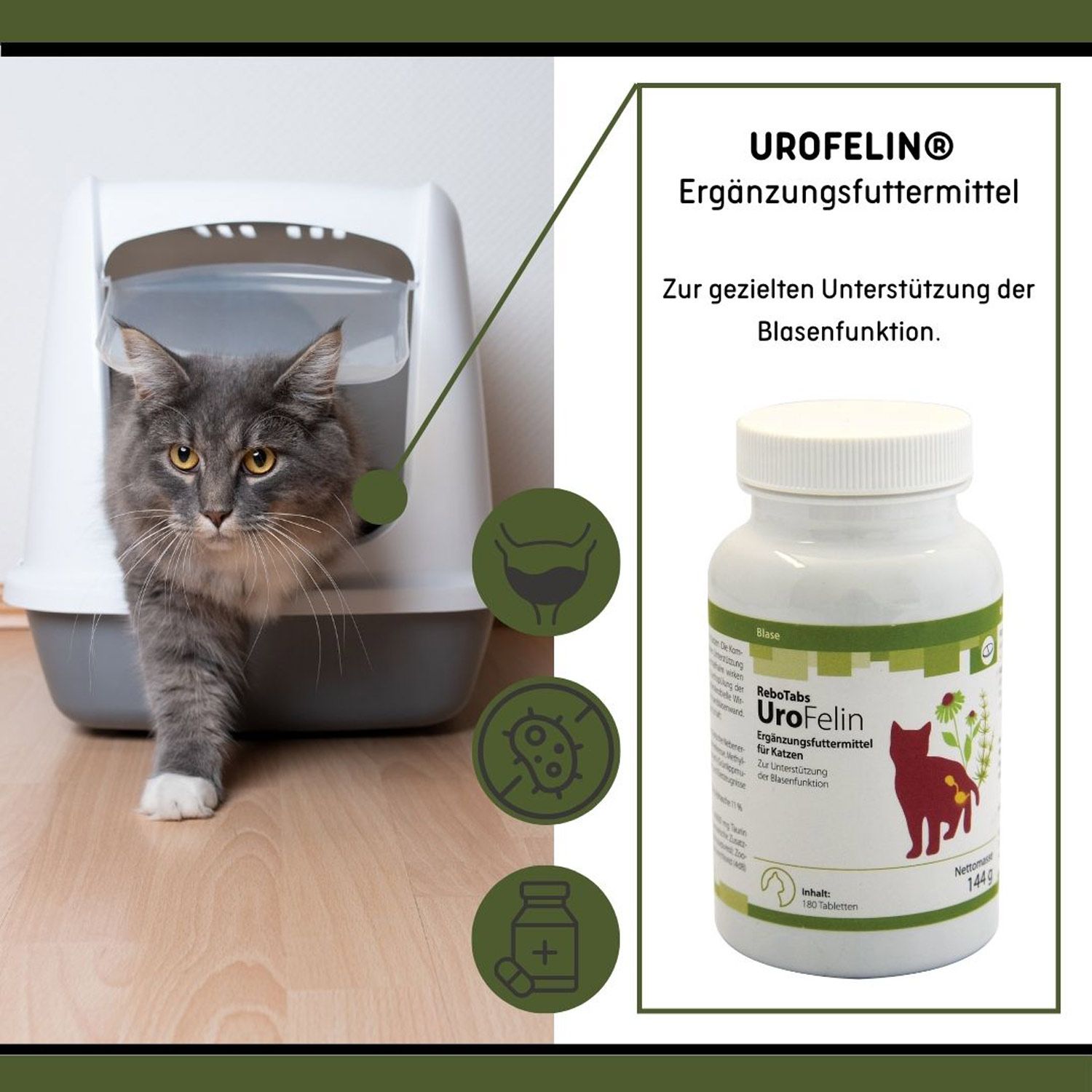 UroFelin für Katzen