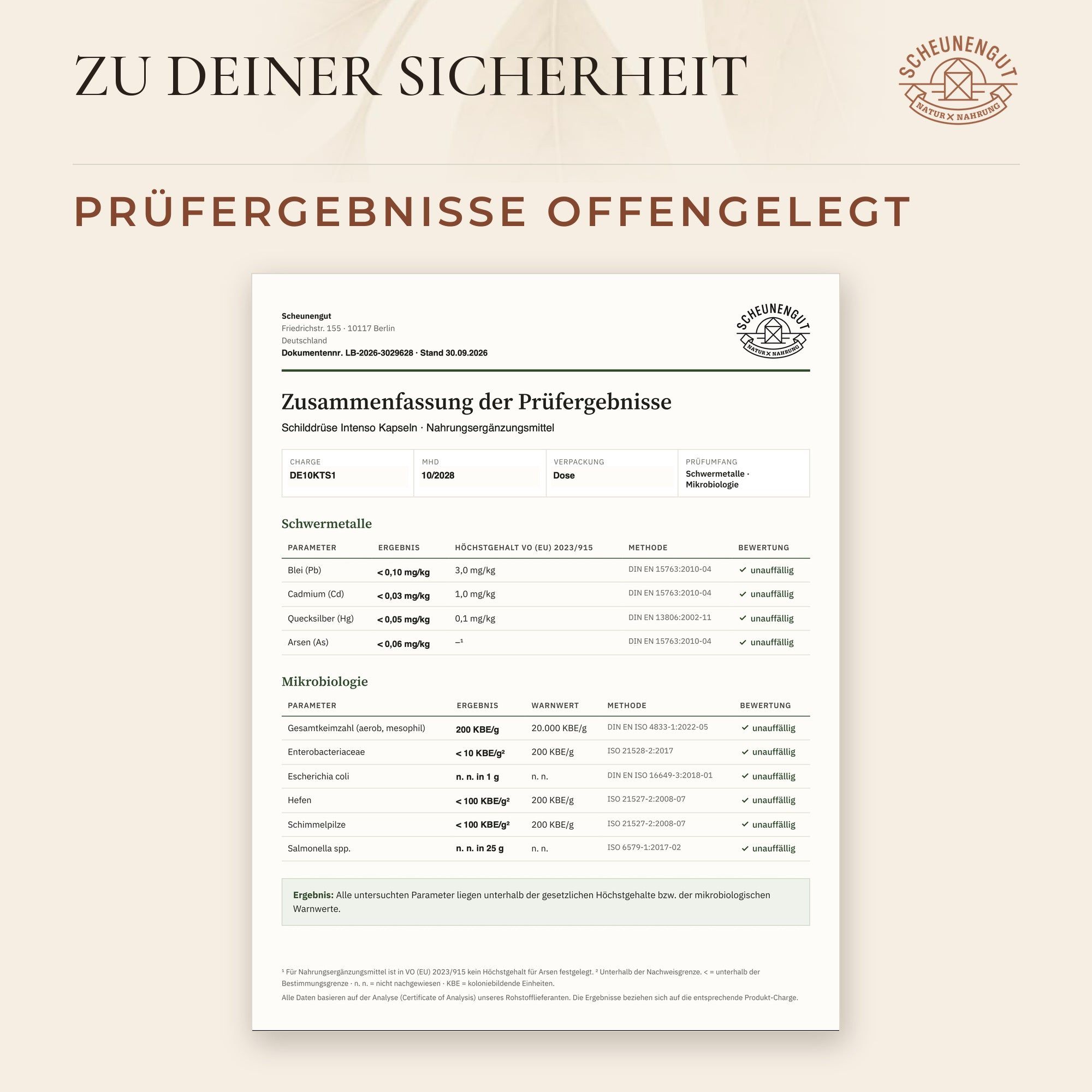 Zusammenfassung der Prüfergebnisse für Schüssler-Salze-Kapseln mit Schwermetall- und Mikrobiologie-Tests.