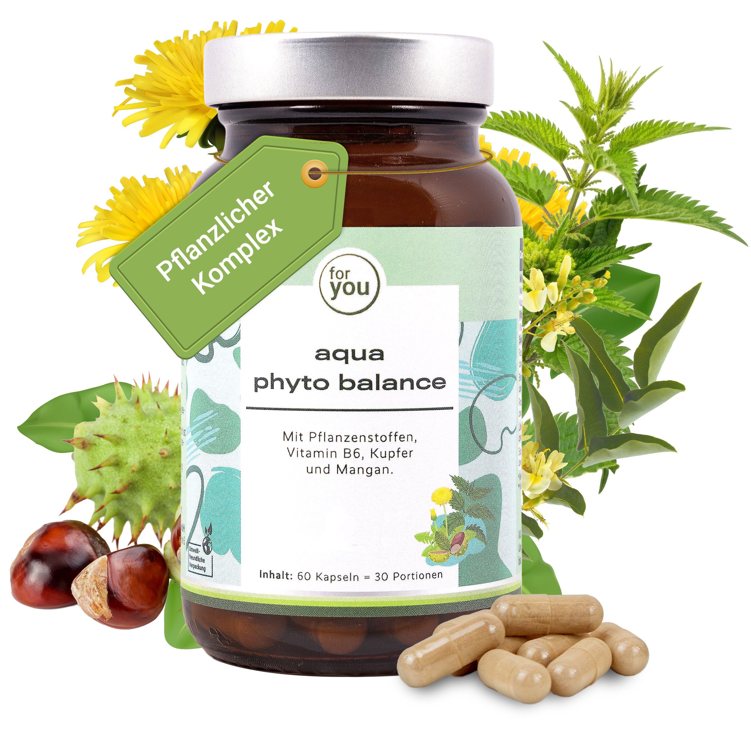 Braune Glasflasche mit Aqua Phyto Balance Kapseln, umgeben von Pflanzen und Kastanien.