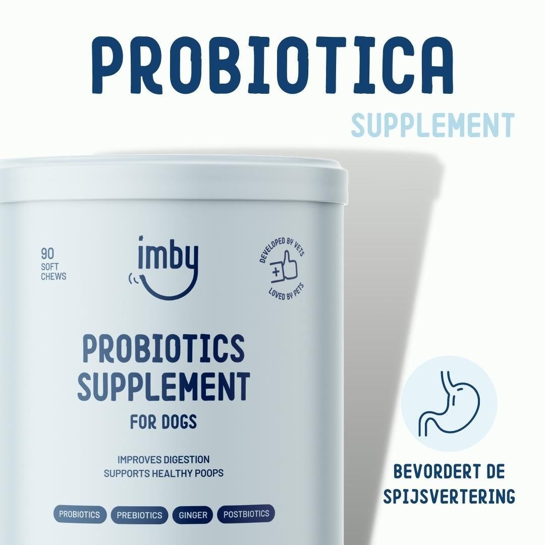 Imby Probiotika Supplement: Aktive Inhaltsstoffe wie Probiotika, Präbiotika, Ingwer, Postbiotika.