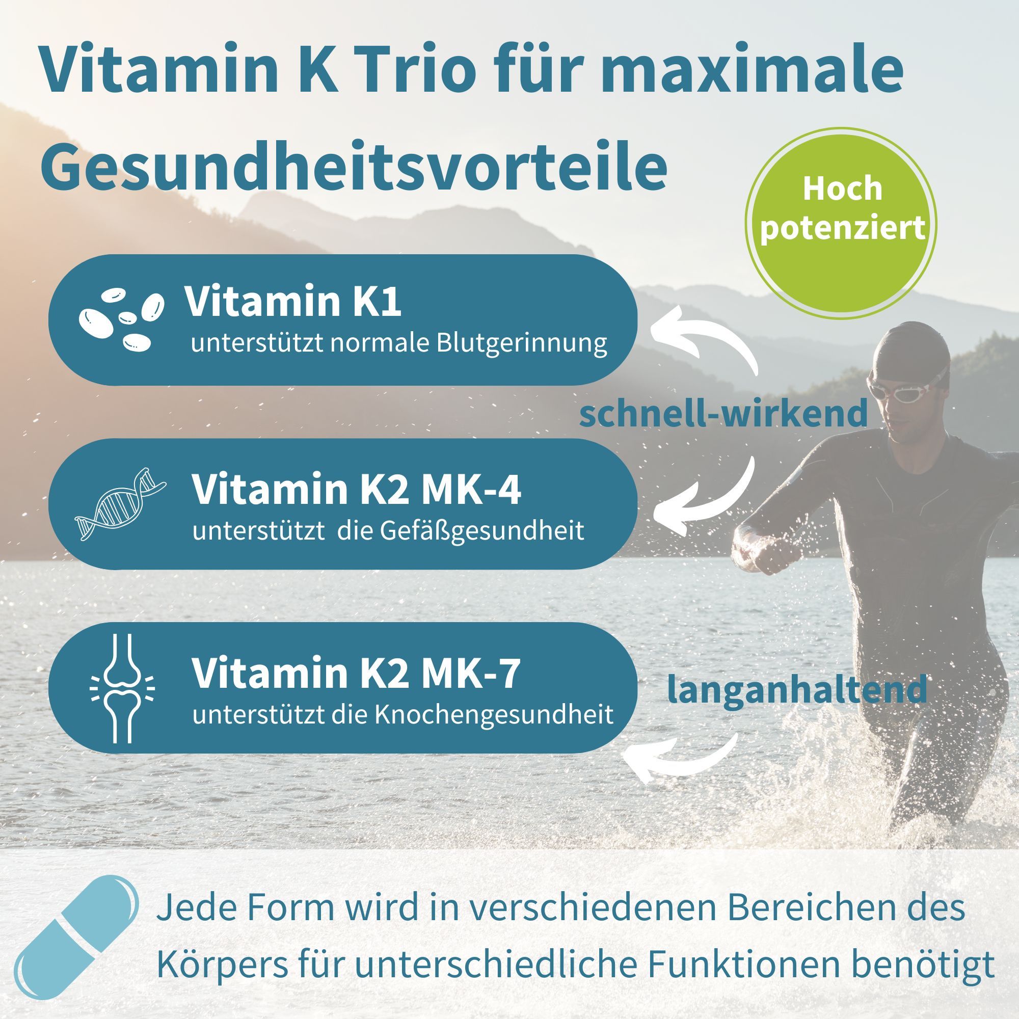 Grafik zeigt Vitamin K1, K2 MK-4, K2 MK-7 für Blutgerinnung, Gefäßgesundheit, Knochengesundheit.