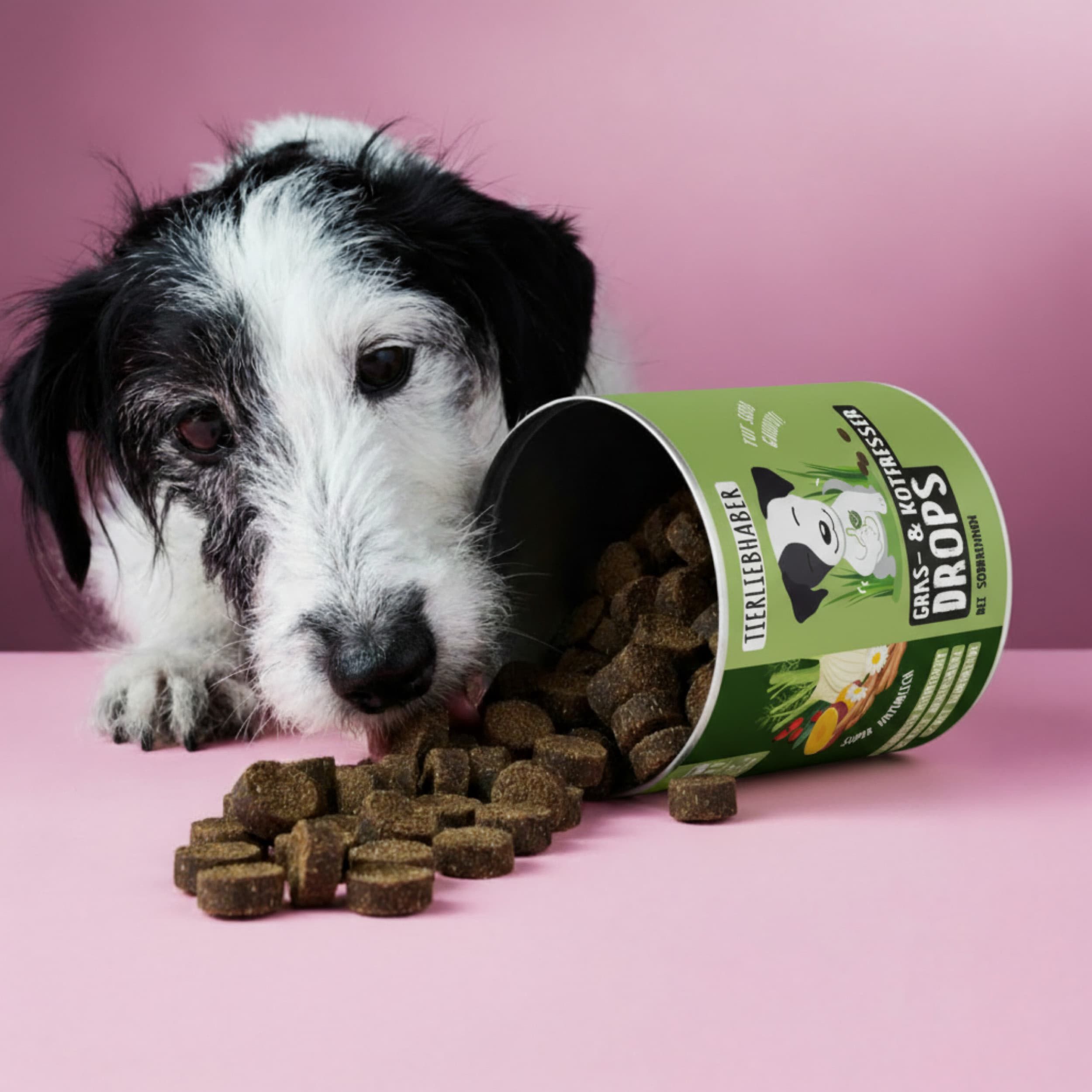 Grüne Dose liegt umgekippt. Drops fallen heraus. Hund frisst Drops.